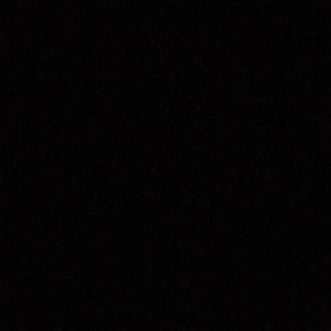 Meet your Posher, Peyton